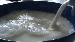 Schwimmt ein MilkyWay wirklich in Milch Wissenschaft Experiment [upl. by Elvina]