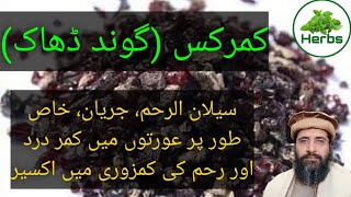 Health Benefits of Kamarkas UrduHindi  Kamarkas ke fayde  Hakeem Zia ur Rehman [upl. by Ashlin]