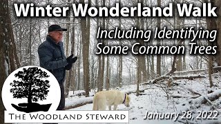 Winter Wonderland Walk Including Identifying 14 Common Trees – January 28 2022 [upl. by Agathe287]