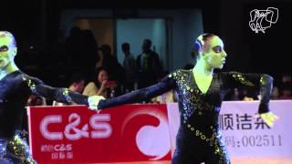 Pasechnik  Arndt GER  2013 World Showdance LAT Final [upl. by Nojram80]