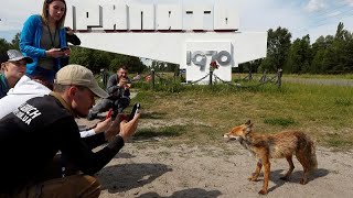 Série televisiva faz disparar turismo em Chernobyl [upl. by Odranoel892]