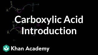 Carboxylic acid introduction  Carboxylic acids and derivatives  Organic chemistry  Khan Academy [upl. by Liew]