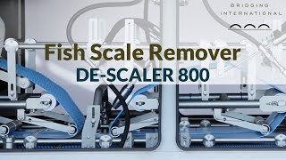 FISH SCALER REMOVER WATER DESCALER 800 I UNIFOOD TECHNIC AS [upl. by Singhal81]