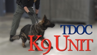 TDOC K9 Unit [upl. by Leopold]