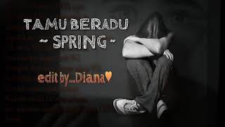 Tamu Beradu lirik  Spring [upl. by Ravel]