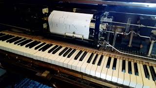 Old Timers Waltz  Frank Milne  20’s Steck DuoArt baby grand player piano [upl. by Immac337]