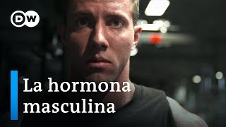 Testosterona  La fuerza motriz de los hombres  DW Documental [upl. by Kathrine253]