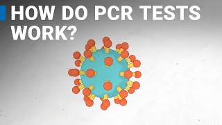 How do COVID19 tests work RTPCR explained [upl. by Haag]