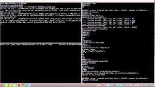 heartbleed attack demonstration Login password extraction [upl. by Ynohtnakram]