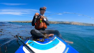 Paddleboard Fishing with a BOOST Fin [upl. by Arabrab]