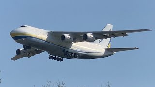 Antonov AN124 landing and take off  747 C130 767 E195 Globemaster [upl. by Nosredna805]