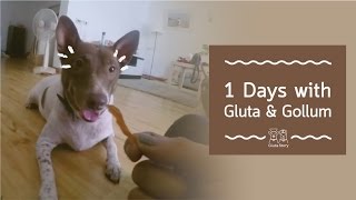 Gluta Story  1 Day with Gluta amp Gollum through GoPro [upl. by Theta898]