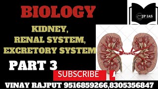 Nephron PCT DCTLOH Bowmans capsule function of kidney for UPSC PSC Vinay siruppsc [upl. by Iveel683]