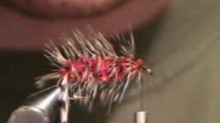 How to tie a woolly worm fly [upl. by Eiramoj439]