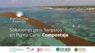 Soluciones para Sargazos en Punta Cana Compostaje  Fundación Grupo Puntacana [upl. by Erb176]