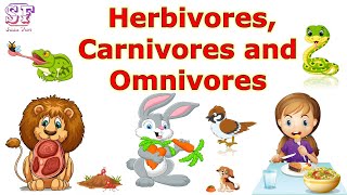 Herbivores Carnivores Omnivores  Types of Herbivores Carnivores Omnivores  Animals and their food [upl. by Anaujahs]