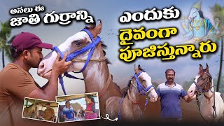 అసలు ఈ జాతి గుర్రాన్నిఎందుకు దైవంగా పూజిస్తున్నారుAkhiMedia [upl. by Detta]