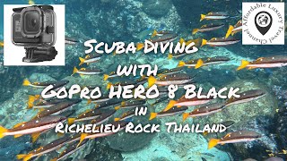 Scuba Diving with GoPro Hero 8 Black in 4K  Richelieu Rock Thailand [upl. by Lednam]