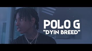 Polo G  Dyin Breed Lyric Video [upl. by Ayek888]