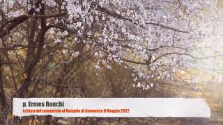 p Ermes Ronchi  Commento al Vangelo di domenica 8 Maggio 2022 [upl. by Adyela]