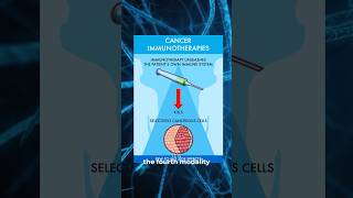 What is cancer immunotherapy  cancer [upl. by Eltsryk]