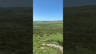 Summer in Dartmoor National Park nature dartmoor wildlife mountains devon solo nationalpark [upl. by Anaej]