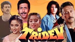 Tridev Full Movie in Hindi explain Facts  Sunny Deol  Naseeruddin Shah  Jackie S  Madhuri Dixit [upl. by Aihsenek418]