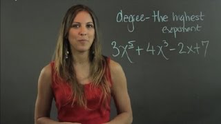 How to Make a 5th Degree Polynomial  Lessons in Math [upl. by Anwat]