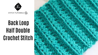 How to Crochet a Back Loop Half Double Stitch Crochet Basics [upl. by Noissap223]