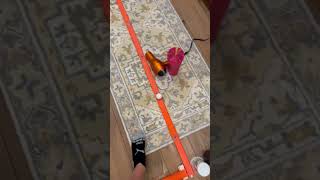 Kids set up an elaborate track to move a ping pong ball through the house and into a small cup [upl. by Geoff]