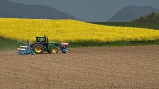 Switzerland to vote on synthetic pesticides ban [upl. by Redman]