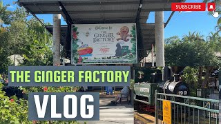 The Ginger Factory Sunshine Coast Australia  The Ginger factory Train ride Ginger factory Boat ride [upl. by Steffane270]