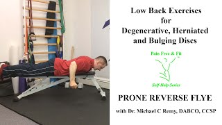 Degenerative Disc Disease L2 L3 L4 L5 S1 Exercises Prone Reverse Flyes [upl. by Anaugahs]