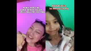 Kucing lucu remix kak jesica animals petsmemesreaction cat kucinglucuimut memefunny stitch [upl. by Obeng]