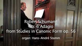 R Schumann Adagio No 6 from Studies in Canonic Form op 56 [upl. by Inotna816]