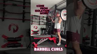 Cambered Barbell Curls [upl. by Demaria]