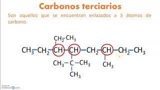 Carbonos primarios secundarios terciarios y cuaternarios [upl. by Drofdarb]