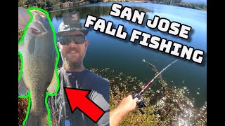 Fall Bass Almaden Lake San Jose Bass Fishing [upl. by Sternlight]