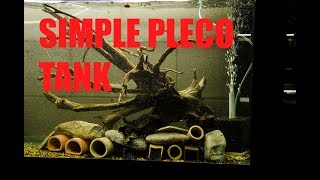 How to set up a basic Pleco breeding tank Hypancistrus Breeding [upl. by Cunningham]