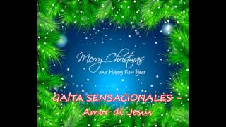 Gaita Sensacionales  Amor di Jesus [upl. by Tnilc]