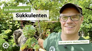 Sukkulenten pflanzen teilen vermehren Minibeet als Tischdeko  gardify Tipps [upl. by Penni350]