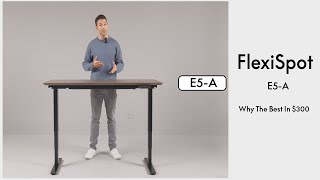 FlexiSpot E5A Why The Best Standing Desk In 300 [upl. by Aanas]