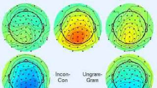 Grand Average N400 amp P600 EventRelated Potentials ERPs [upl. by Elleina]