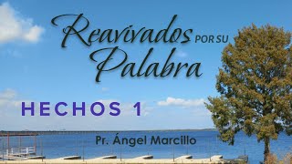 REAVIVADOS POR SU PALABRA HECHOS 1 28 DE OCTUBRE DEL 2024 [upl. by Maryanna]