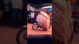 Motorized Zangbeto art yt africanart dance zangbeto [upl. by Cohligan]