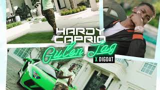 Hardy caprio x DigDat  Guten Tag Intrumental Prod by Mr Bruks [upl. by Mirabella740]