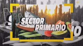 Sector Primario 21 de octubre de 2024 21 10 24 [upl. by Hsirahc]