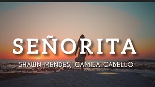 Shawn Mendes Camila Cabello  Señorita New Version [upl. by Aletha]