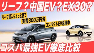 【2024年おすすめEVランキング】実績の日産リーフ？話題の中国製EV？ブランドのボルボEX30？ 2024年注目のコンパクトEVを徹底比較 [upl. by Proudlove]