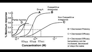 Receptor Binding Graph  Competitive amp Noncompetitive Antagonist Partial Agonist [upl. by Ludwigg674]